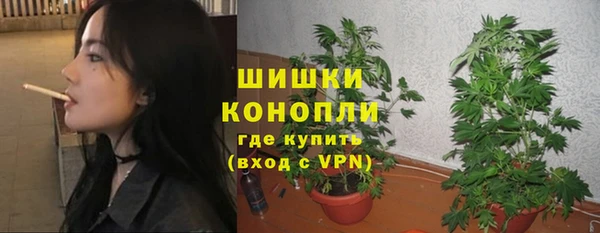 ешки Бородино