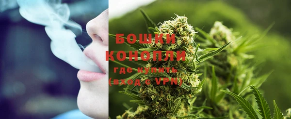 ешки Бородино