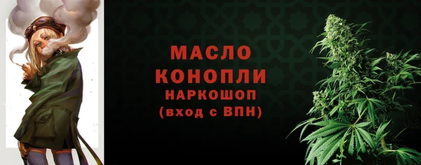 ешки Бородино