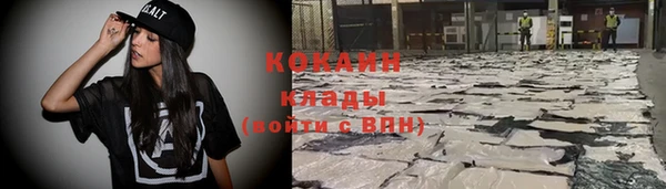 ешки Бородино