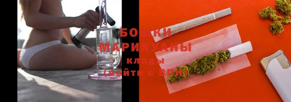 ешки Бородино