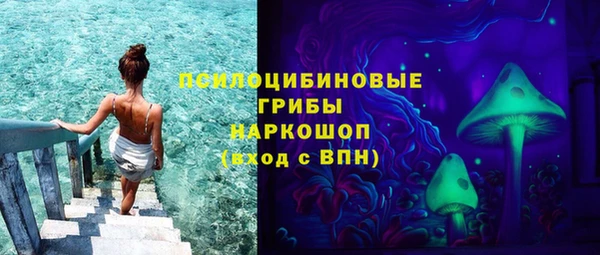стаф Осташков