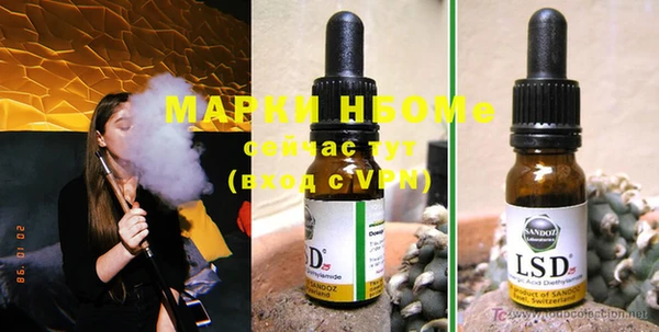 ешки Бородино