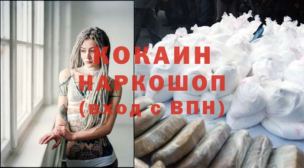 ешки Бородино
