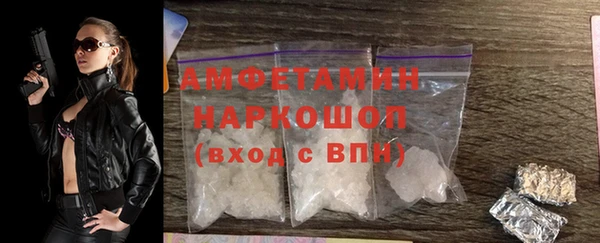 ешки Бородино